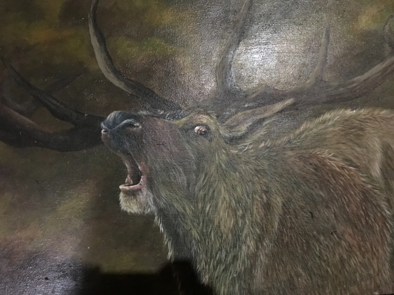 Wild Life Artwork 17